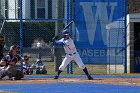 Baseball vs Amherst  Wheaton College Baseball vs Amherst College. - Photo By: KEITH NORDSTROM : Wheaton, baseball